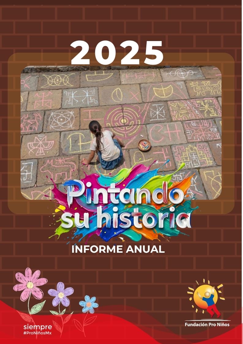 PORTADA COVER INFORME 25